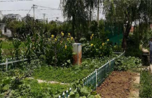 宜兴市芳桥镇芳桥村东夏佃自然村农村生活污水处理工程